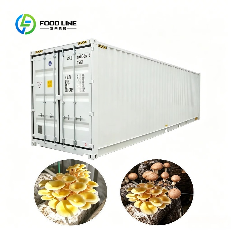 Urban Farming Hydroponic System - Pertanian Kontainer Hidroponik dengan Sistem Irigasi