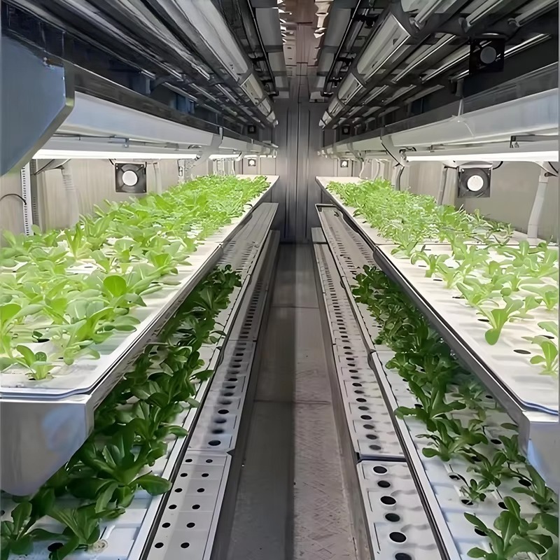 Sistem Pertanian Vertikal Kont - Urban Farming Hydroponic System ulasan dan harga