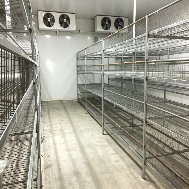 Pertanian Kontainer Hidroponik - Urban Farming Hydroponic System ulasan dan harga